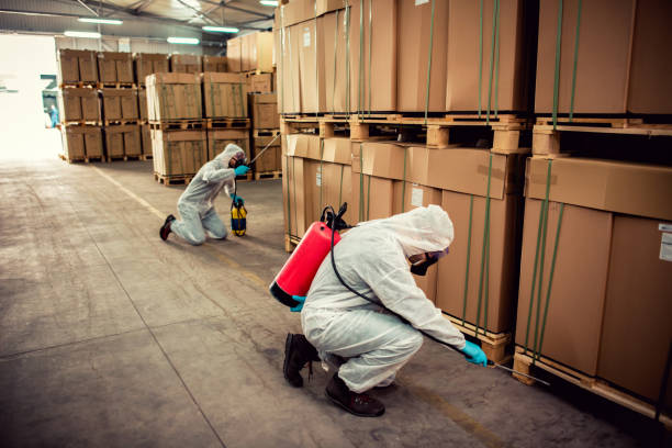 Best Rat Extermination Near Me  in Zanesville, OH