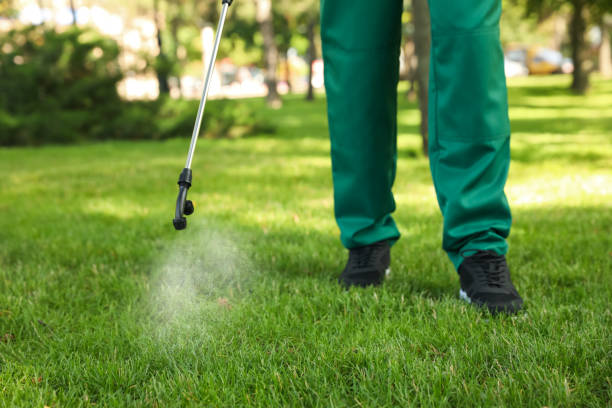 Best Residential Pest Control  in Zanesville, OH