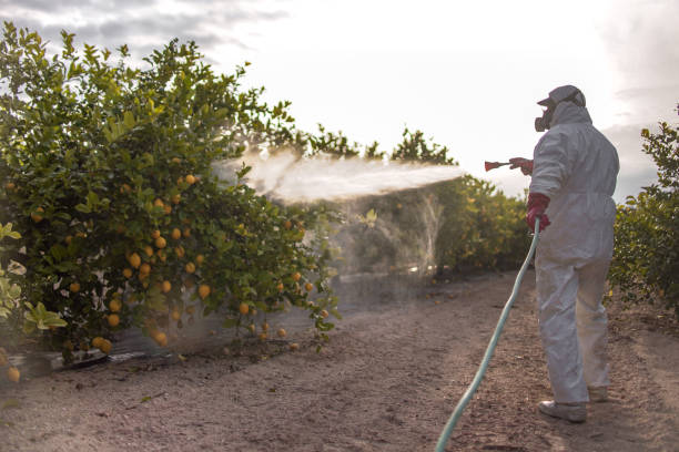 Best Emergency Pest Control  in Zanesville, OH