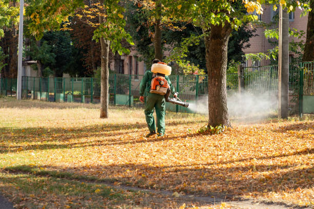 Best Bed Bug Extermination  in Zanesville, OH